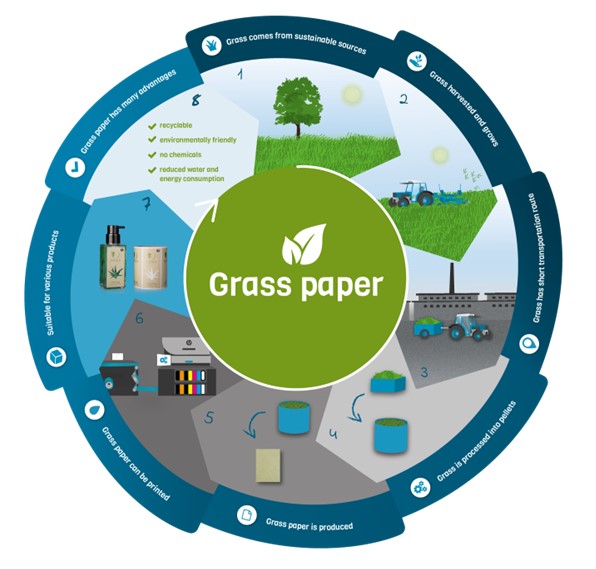 What is Grass Paper and How is it Made? Ep.2